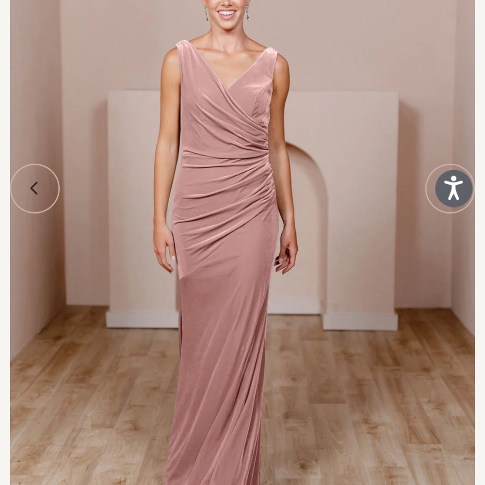 Revelry velvet dress